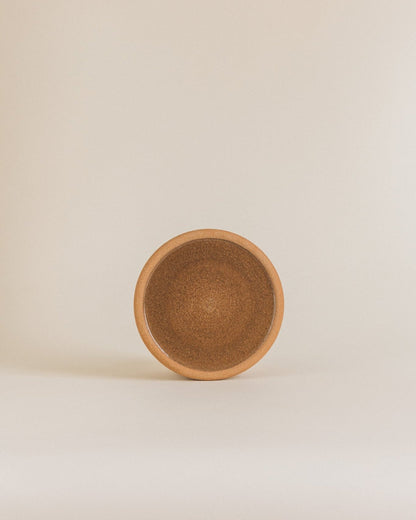 Plate S in terra