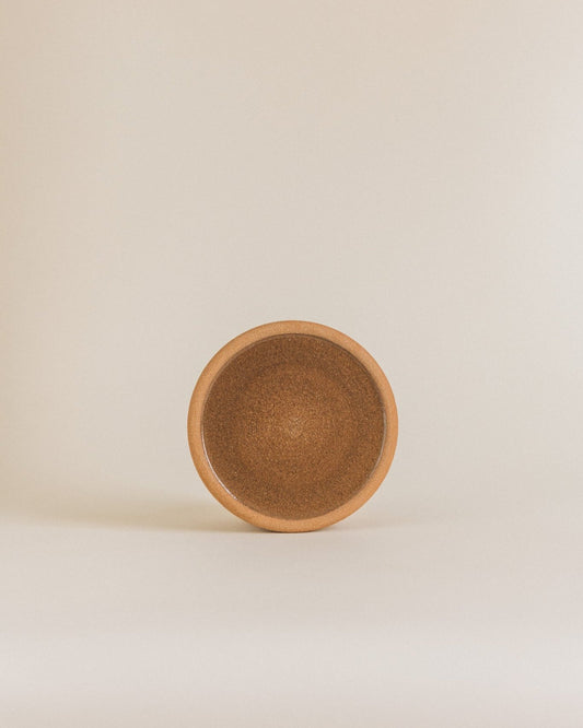 Plate S in terra